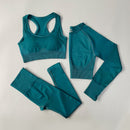 Conjunto Fitness (2 Peças)Top Crop de Manga Longa e Leggings de Cintura Alta - Ideal para Yogas