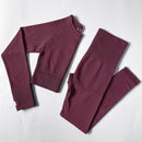 Conjunto Fitness (2 Peças)Top Crop de Manga Longa e Leggings de Cintura Alta - Ideal para Yogas