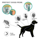 Colar Anti Pulgas e Carrapatos para Cães e Gatos - Colar de 38/62CM para Prevenção de Pulgas e Carrapatos, Eficaz por 8 Meses, Ajustável para Cães Pequenos e Gatos.