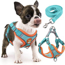 Conjunto de Peitoral e Coleira para Cães Pequenos e Médios